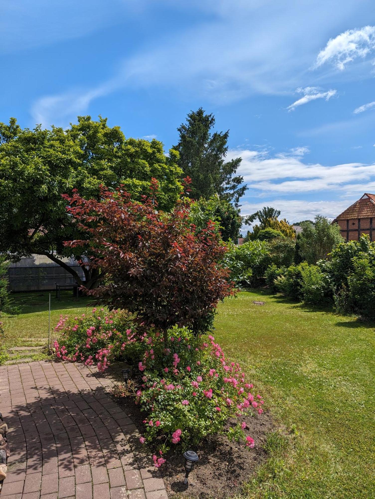 Ferienwohnung Bullersberg Balge Dış mekan fotoğraf