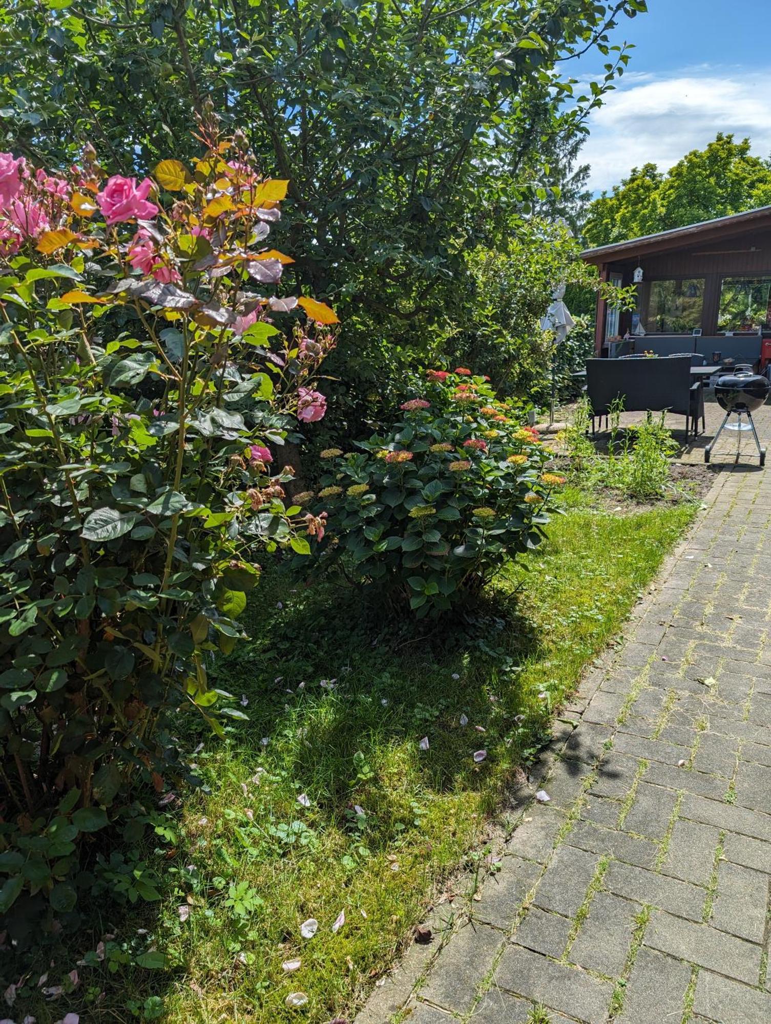 Ferienwohnung Bullersberg Balge Dış mekan fotoğraf