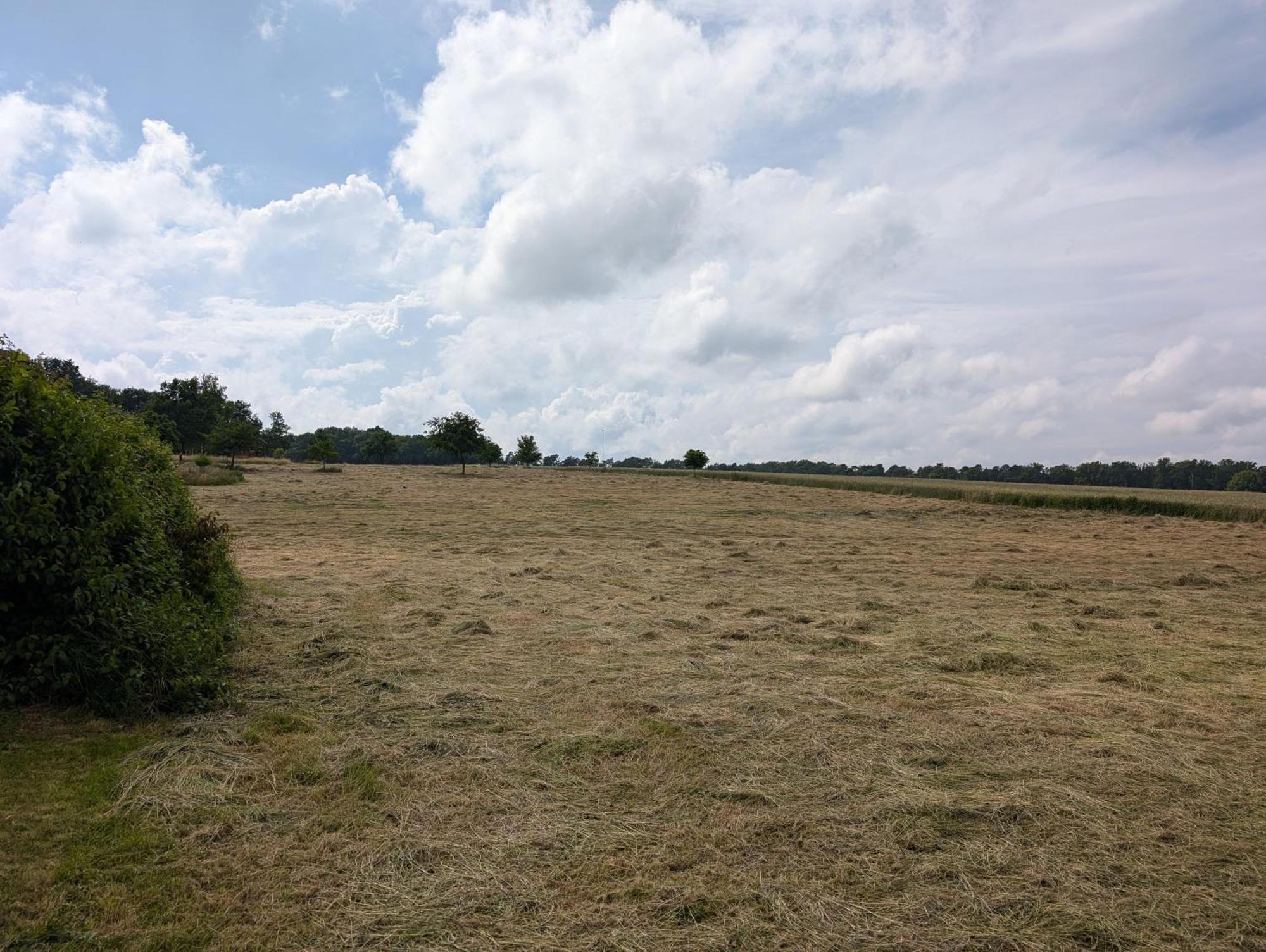 Ferienwohnung Bullersberg Balge Oda fotoğraf